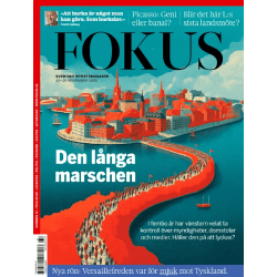 Fokus