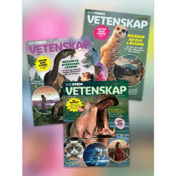 SvD Junior Vetenskap