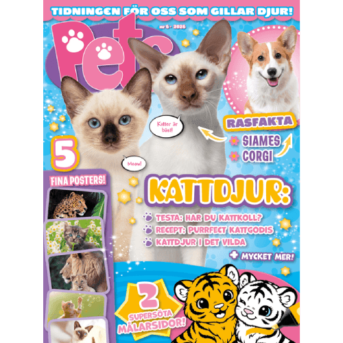 Pets